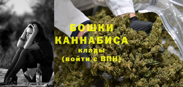 2c-b Алзамай