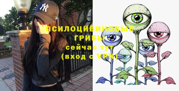 ALPHA-PVP Алексеевка