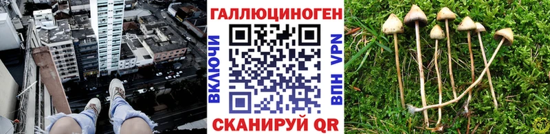 где найти   Фатеж  ОМГ ОМГ маркетплейс  Псилоцибиновые грибы мухоморы 